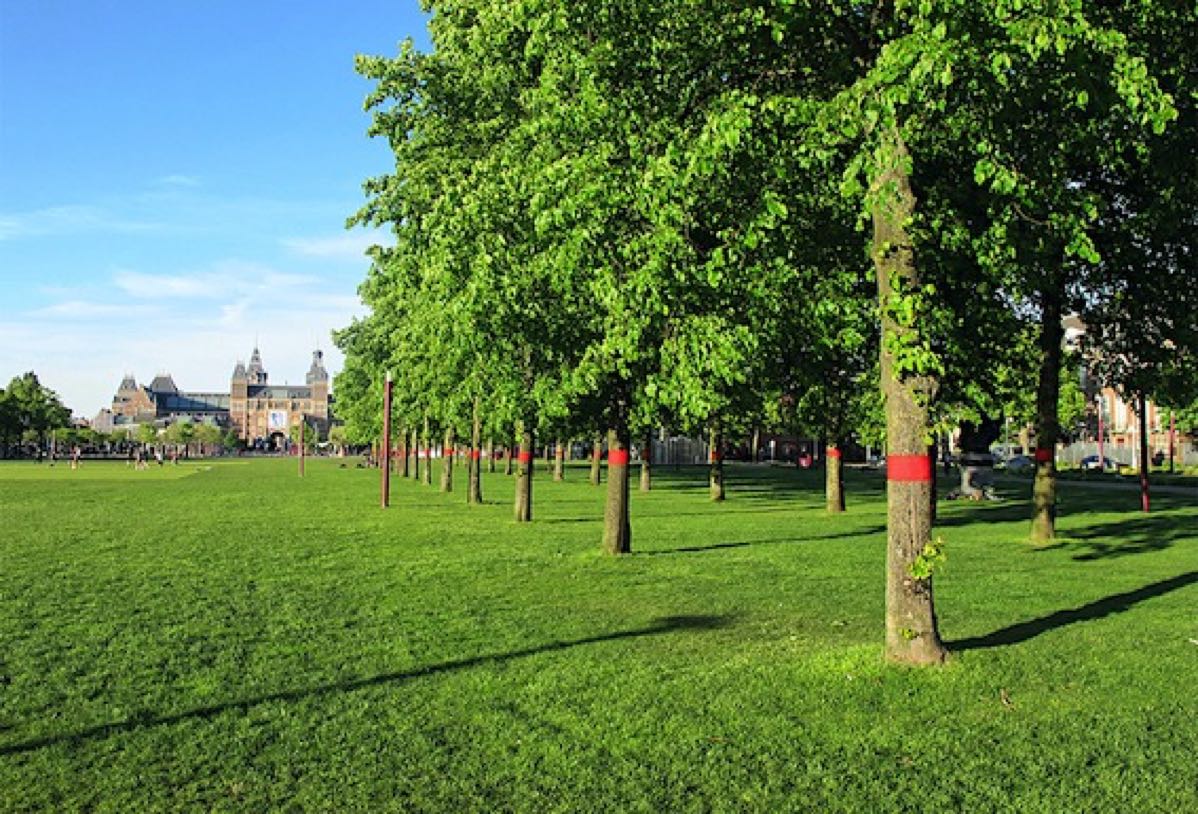 s18_2019_Red Circles_Textile bandages on trees from Museumsplein to Hilton Hotel_Art Zuid_Biennal Amsterdam_NL_180a